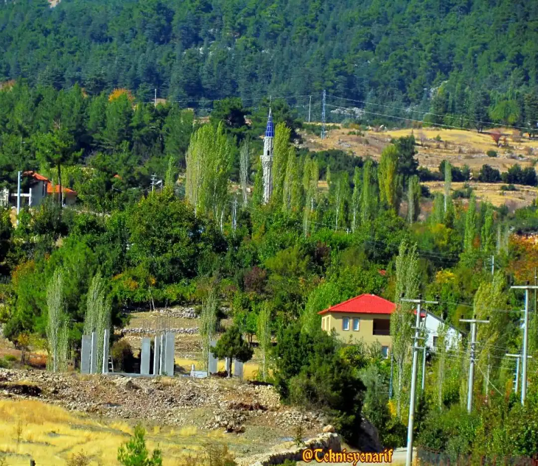 category image