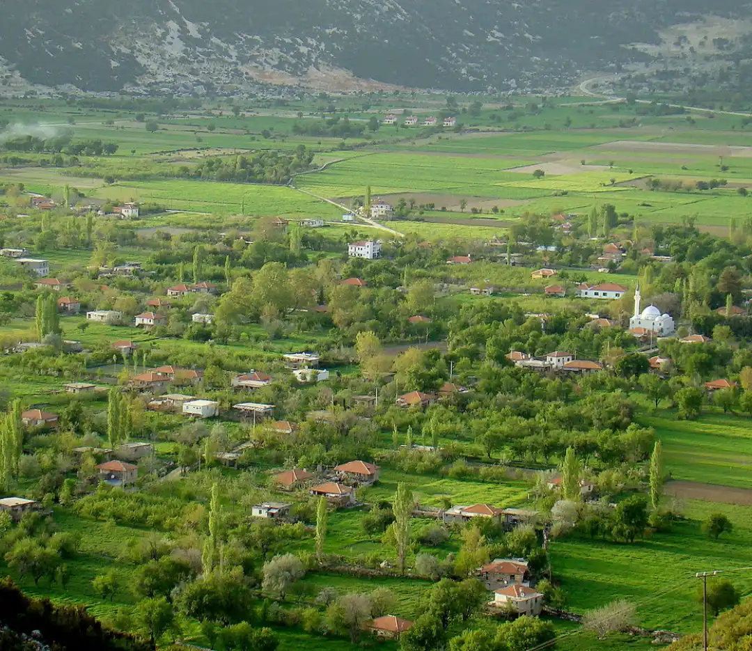 category image