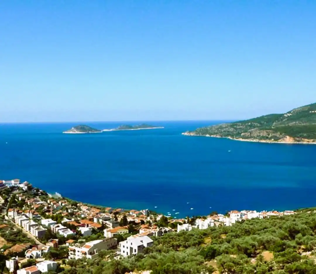category image