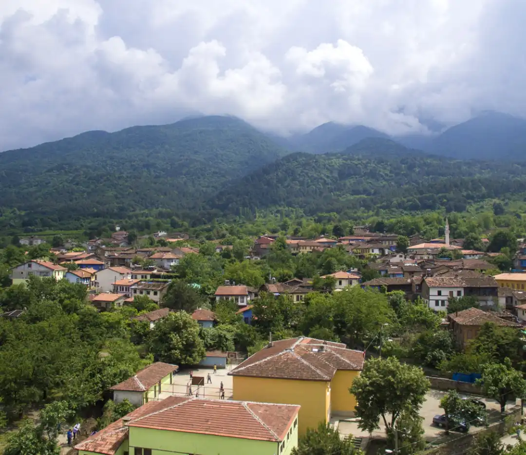 category image
