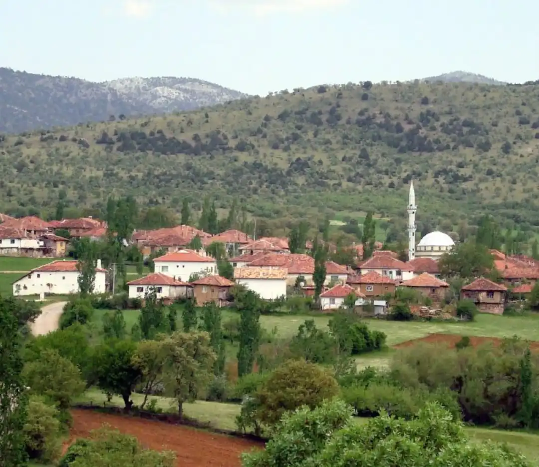 category image