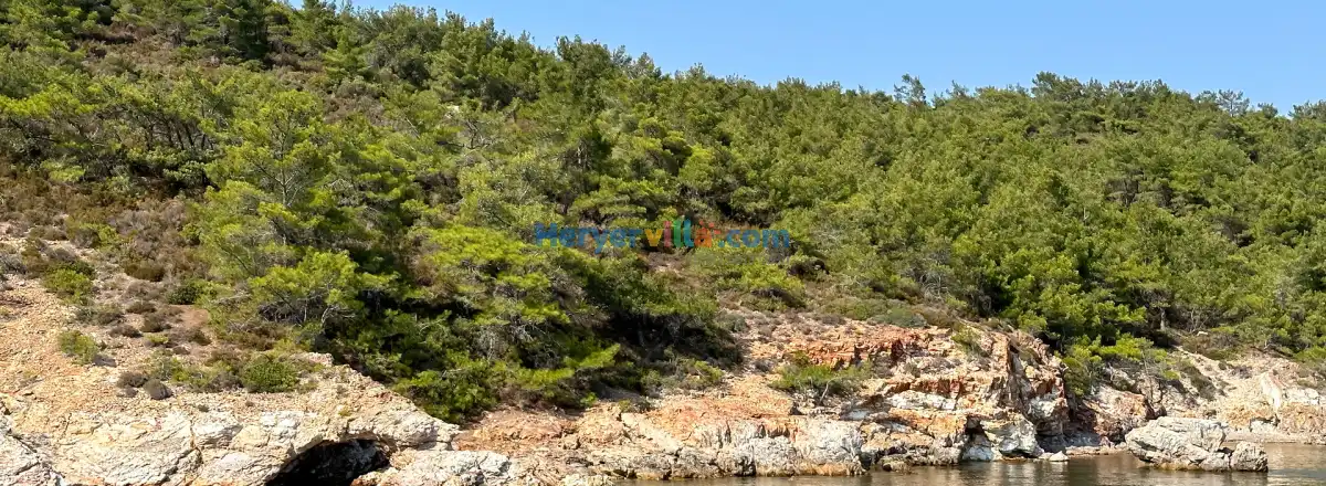 Ayvalık: Ege'nin Ruhunu Taşıyan Tatil Cenneti