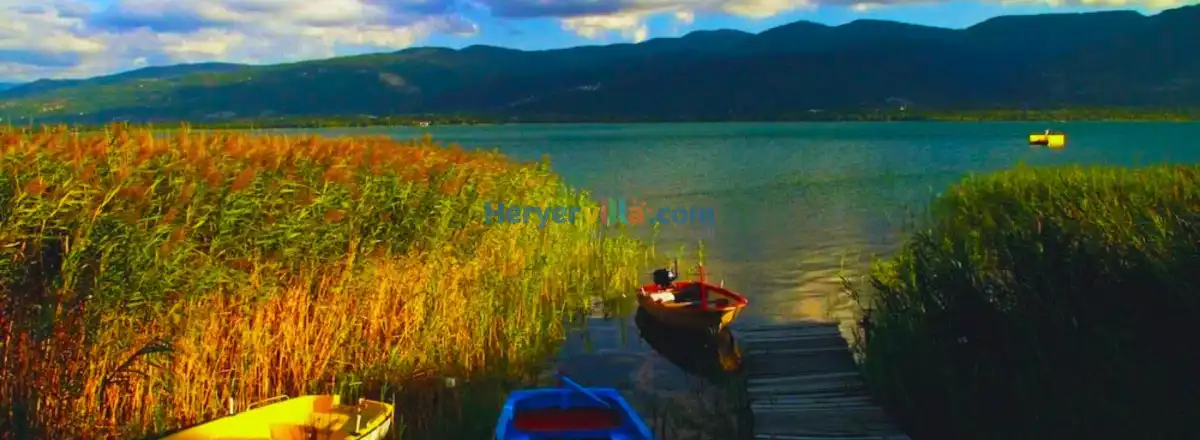 Sapanca'nın Mahalleleri: Doğanın Kalbinde Sakin Yaşam