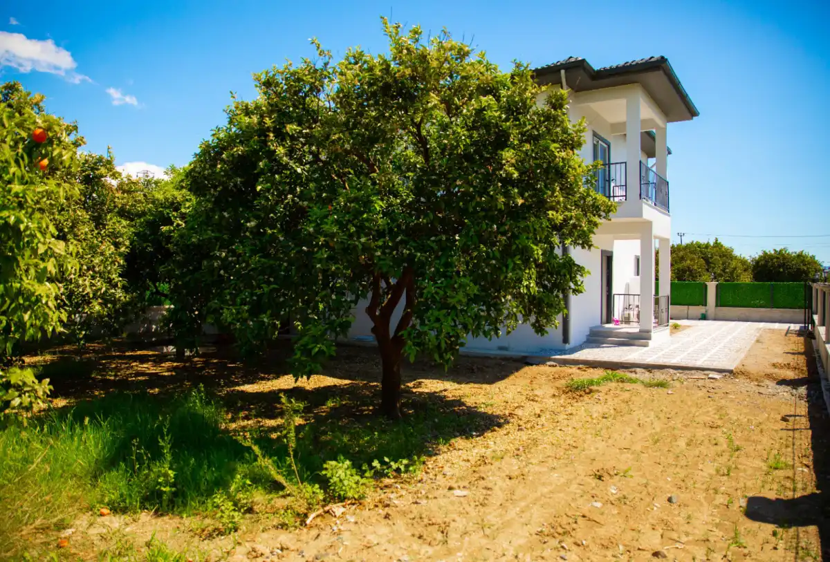 bs-v1-villa-portakal-ortaca-3-3720.jpg