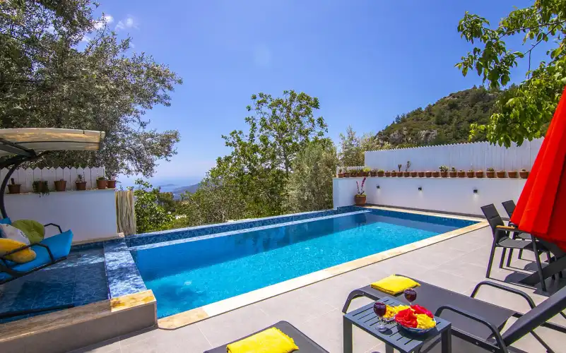 heryer-villa-villa-opuntia-3_784.jpg