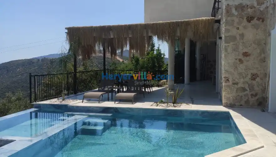 Villa Lions