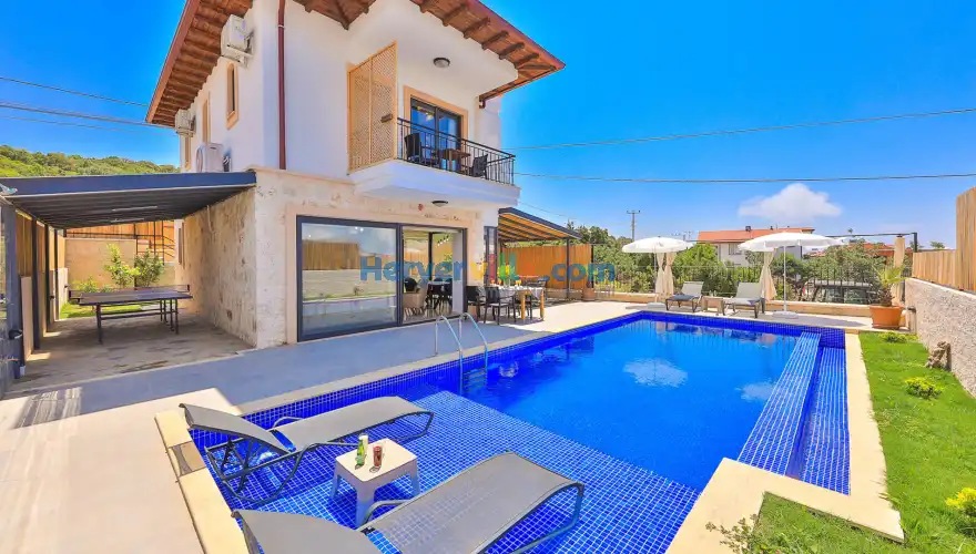 Villa Larin